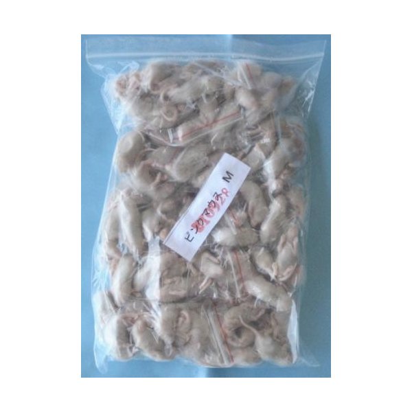 楽天市場】【クール便発送】 冷凍アダルトラット S 50匹入 冷凍マウス