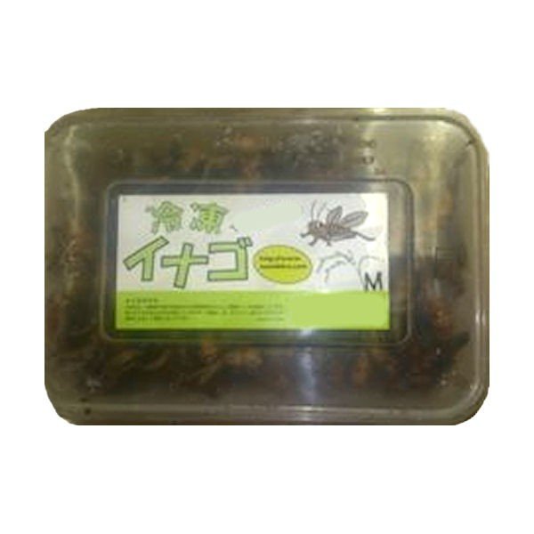 最新コレックション 楽天市場 冷凍イナゴmサイズ 0g 10個セット クール便にてお届け C Vision 送料込 Www Lexusoman Com