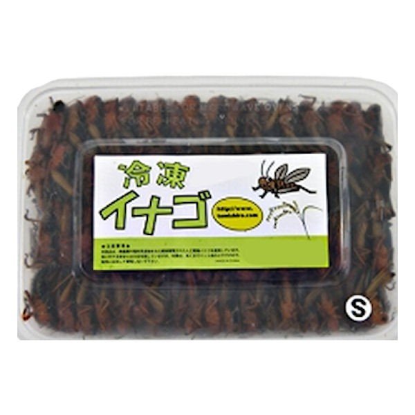 【ビッグ割引き販売】氷結稲子S大いさ 200g×2個仕かける 冷やりとした便にてお届け エサ-ペット・ペットグッズ-冷凍餌