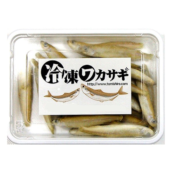 ワカサギ バラ冷凍 100g 12個セット 餌 エサ えさ 両生類 新作販売