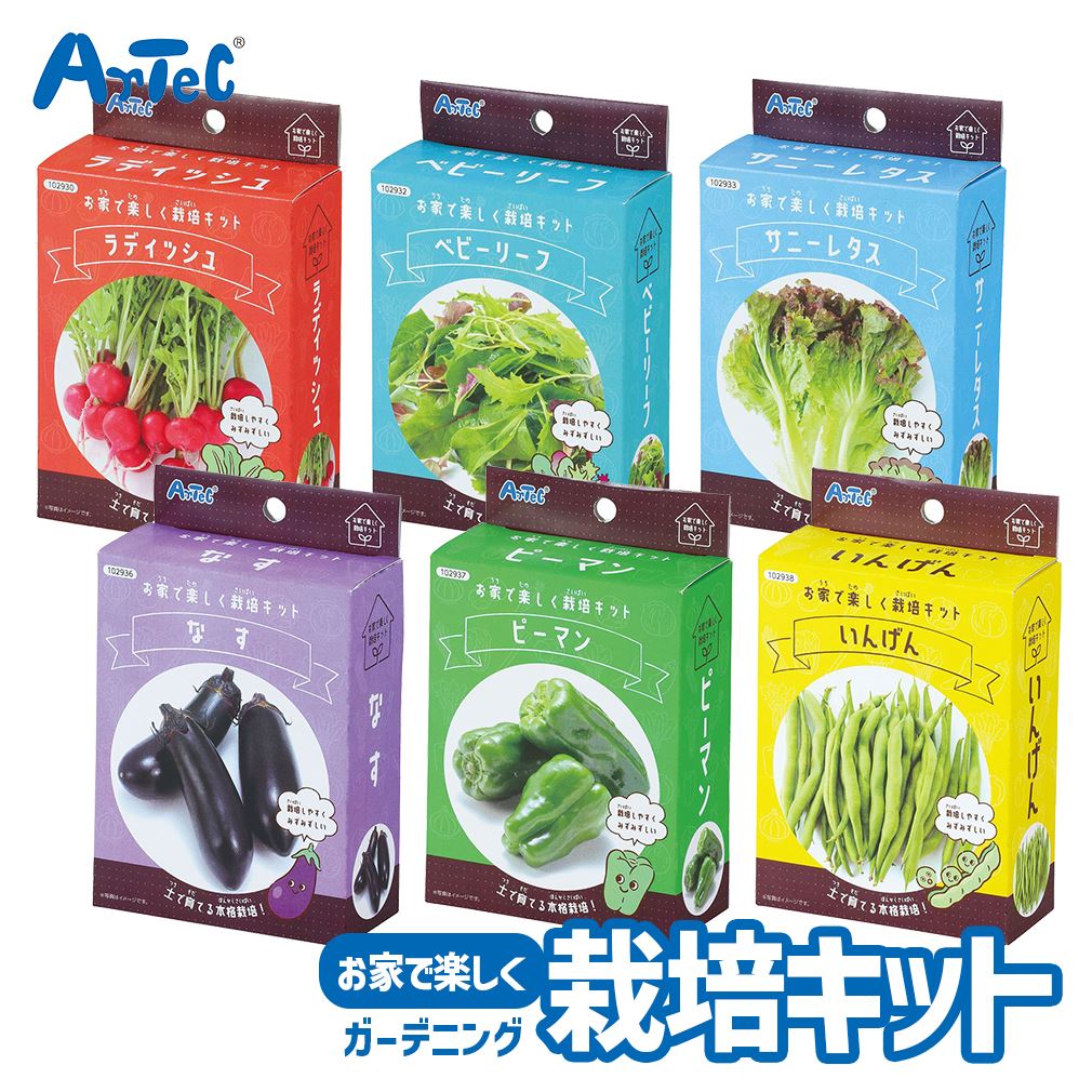 楽天市場】\スーパーSALE☆半額/ もやし3兄弟を種から育て 楽天市場】\スーパーSALE☆半額/ もやし3兄弟を種から育て