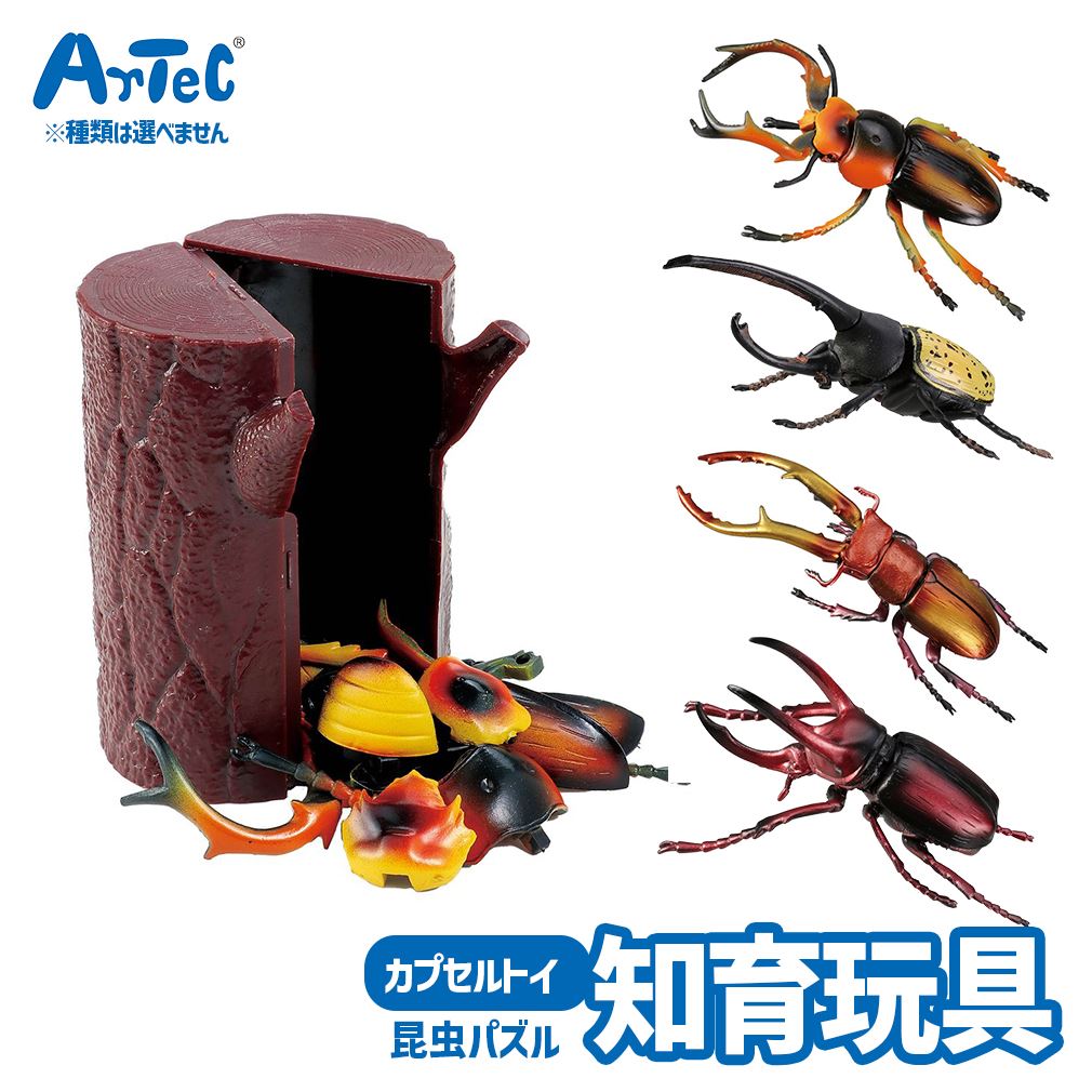 楽天市場】【フィギュア】【昆虫のおもちゃ】早川玩具 世界の