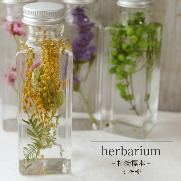楽天市場】送料無料【herbarium Bottle】ハーバリウムボトル八角ボトル 