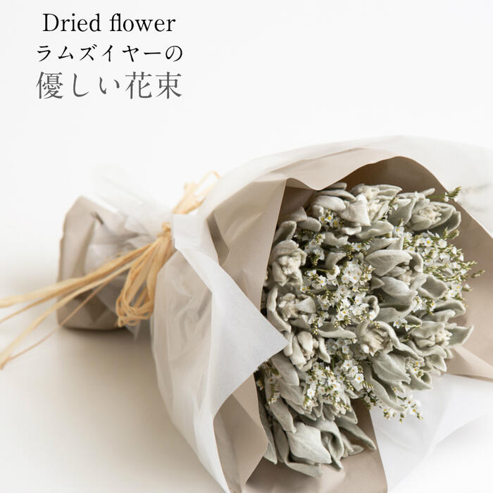 楽天市場 送料無料 あす楽地域対応品 Flower Gift フェミニンカラーラムズイヤーと小さな小花のドライフラワー ブーケ 花束ギフト インテリア誕生日プレゼント記念日ウエディングフォト 贈り物のお店 カドゥ Cadeaux