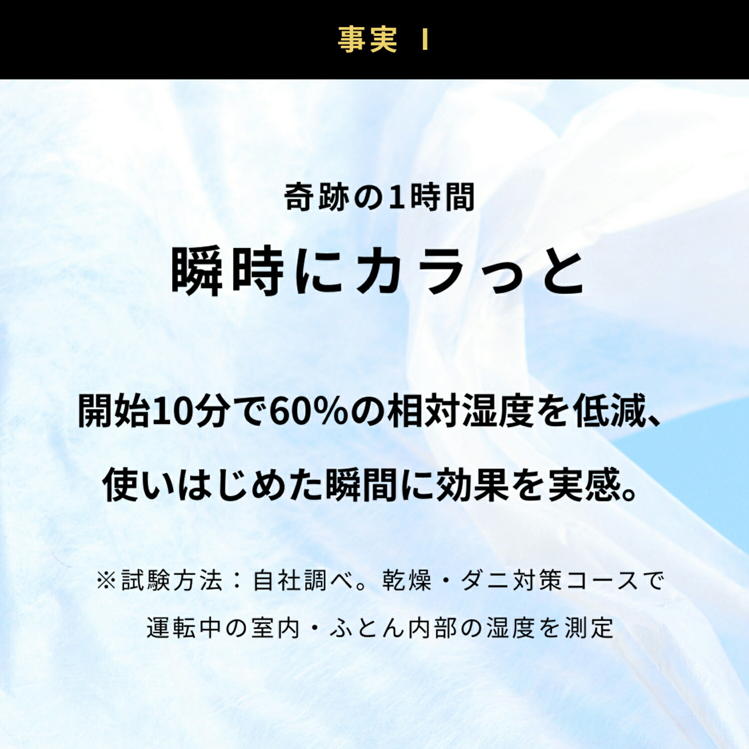 【公式店限定2年保証】cado 布団乾燥機 FOEHN LITE 2025年モデル カドー アロマアタッチメント 靴乾燥スタンド アロマ フェーン ライト ふとん乾燥機 睡眠 ダニ対策 ダニ退治 トコジラミ 乾燥 軽量 おしゃれ コンパクト パワフル 静音 小型 スティック 売れ筋 おしゃれ