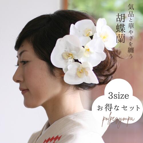 楽天市場】コットンフラワー5個セット【白 / 茶】【天然素材】【珍しい