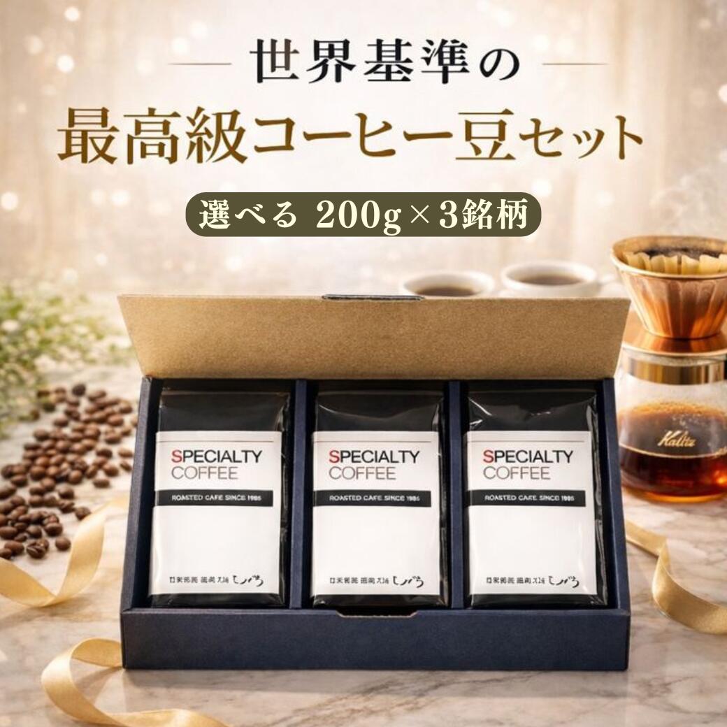 ＼ポイント10倍／ 【 コーヒー ギフト 】トップスペシャルティコーヒー豆セット 200g×3種類 選べる600ｇスペシャルティコーヒー コーヒー豆 豆 粉 ゲイシャ COE カップオブエクセレンス 自家焙煎 珈琲豆 御祝 内祝 プレゼント