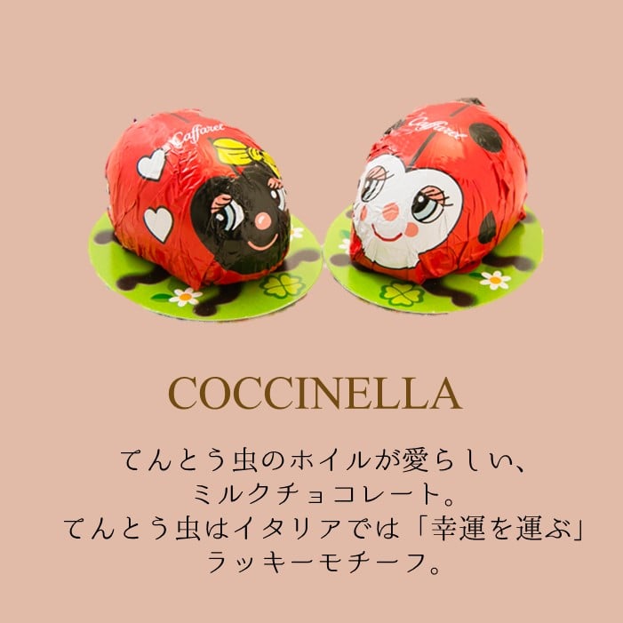 公式 カファレル caffarel】 アミーチ・デッラ・フォレスタ 16粒