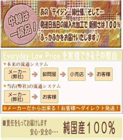 ジャンボ中材(70x70cmカバー用)中身はポリエステルわたにて発送当日わた入れ加工!【国産,日本製,ヌードクッション,クッション中材,70x70cm,ジャンボクッション】