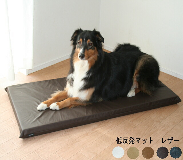 楽天市場 低反発 長座布団 55x115x6cm ｍodern ｆabric 合皮レザー カバーリング式 ベッド ペット 犬 ドッグ ごろ寝マット お昼寝マット 長ざぶとん ながざぶとん レザークッション フェイクレザー ストレッチマット ヨガマット 抱き枕長座布団 のクッションカフェ