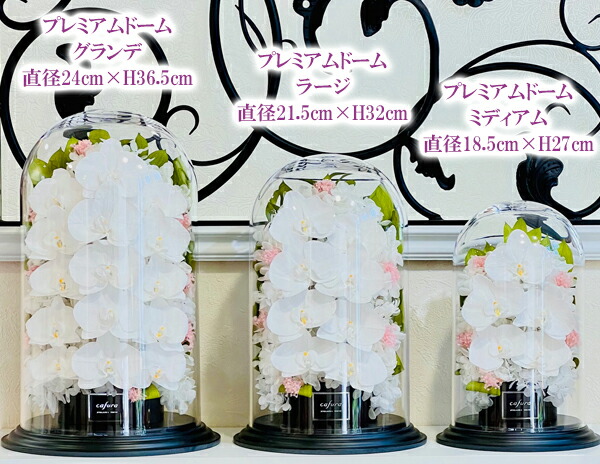 新作 プリザーブドフラワー 胡蝶蘭 御祝 ガラスドーム 名入れ 三本立ち お祝い 記念日 記念品 お供え お悔やみ 法事 就任祝い 退職祝 おしゃれ 送料無料 長寿 御祝い 開業祝 新築祝 誕生日 命日 新盆 贈答品 還暦 傘寿 米寿 古希 喜寿 ブリザード フラワー