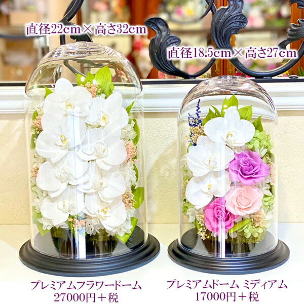 プリザーブドフラワー 胡蝶蘭 新盆 ガラスドーム 御祝 お供え お悔やみ 就任祝い 退職祝 おしゃれ 送料無料 長寿 御祝い 開業祝 新築祝 誕生日 命日 法事 記念日 記念品 贈答品 還暦 傘寿 米寿 古希 喜寿 ブリザード ブリザーブドフラワー Bilingualminds Com