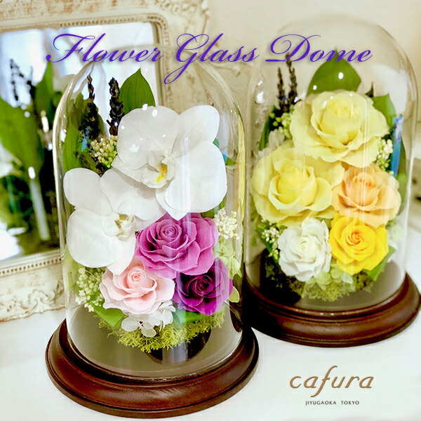 プリザーブドフラワー 胡蝶蘭 ガラスドーム 米寿 御祝 お悔やみ お悔やみ 送料無料 お供え 仏花 誕生日 退職 昇進 おしゃれ 花 女友達 母親 義母 結婚記念日 両親 妻 新築祝い 還暦祝い 古希 米寿 お祝い ブリザードフラワー 送料無料 お返し 贈り物 お盆 お彼岸