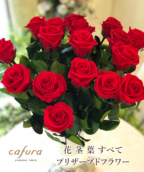 楽天市場 プリザーブドフラワー 一輪のバラ 枯れない花 誕生日 一本薔薇 プレゼント プロポーズ 記念日 卒業 バレンタイン おしゃれ 卒園式 ギフト バラ 花 卒業祝い 先輩 部活 送別 合格 式 先生 プレゼント プチギフト 送別会 卒業記念品 入学 入社 異動 退職