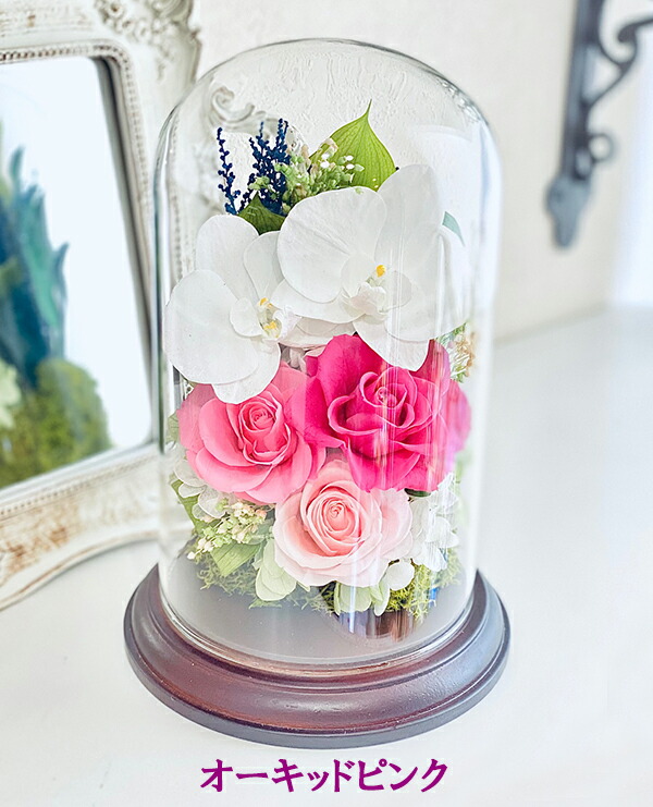 楽天市場 プリザーブドフラワー 胡蝶蘭 ガラスドーム 御祝 お悔やみ お供え 新盆 仏花 誕生日 退職 昇進 おしゃれ 花 女友達 母親 義母 結婚記念日 両親 妻 新築祝い 還暦祝い 古希 米寿 お祝い ブリザードフラワー 送料無料 贈り物 お彼岸 ブリザーブドフラワー