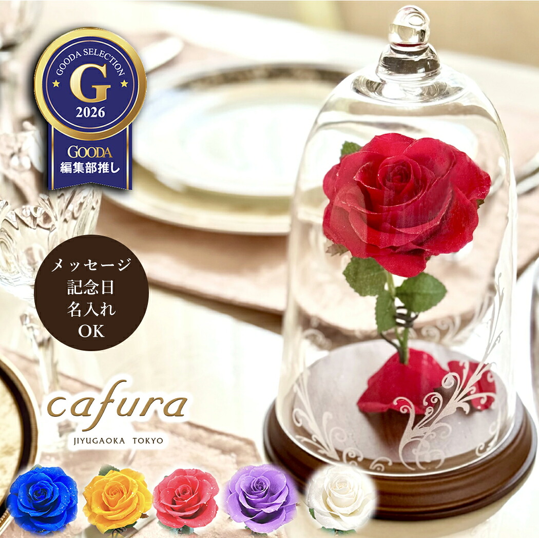 プリザーブドフラワー 美女と野獣 ガラスドーム プロポーズ 赤いバラ 還暦 1輪 バラ 結婚記念日 記念日 ホワイトデー 喜寿 米寿 古希 祝い 結婚 彼女 妻 恋人 友達 一輪花 一輪挿し 花 想いを届ける 名入れ ギフト 刻印 金婚式 ブリザードフラワー 白バラ画像