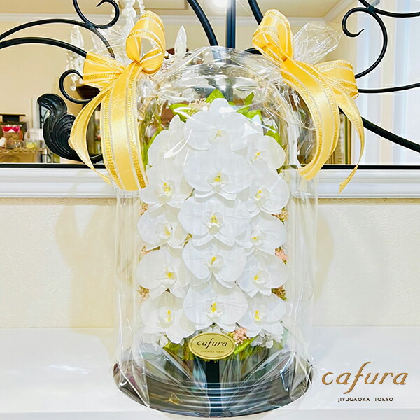 新作 プリザーブドフラワー 胡蝶蘭 御祝 ガラスドーム 名入れ 三本立ち お祝い 記念日 記念品 お供え お悔やみ 法事 就任祝い 退職祝 おしゃれ 送料無料 長寿 御祝い 開業祝 新築祝 誕生日 命日 新盆 贈答品 還暦 傘寿 米寿 古希 喜寿 ブリザード フラワー