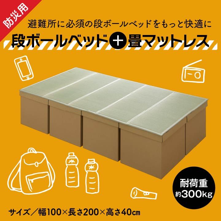 防災 駆け込み寺 備え 社会的単位 畳 寝台 段ボール シングル 約100×200珊 5連[13]