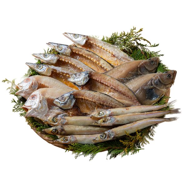 父の日 山陰海鮮一夜干しセット ギフト 贈り物 送料無料 6366-50【産直】[24]