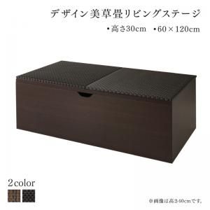 国産 収納付きデザイン美草畳リビングステージ 風凛 フーリン 畳ボックス収納 120&times;60cm ロータイプ 小上がり [00]｜家具・インテリア雑貨　カグール