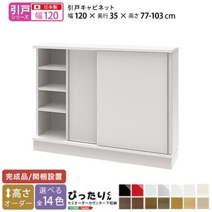 【引戸シリーズ】セミオーダーカウンター下収納ぴったりくん キャビネット 幅120cm×奥行35cm[L][03]