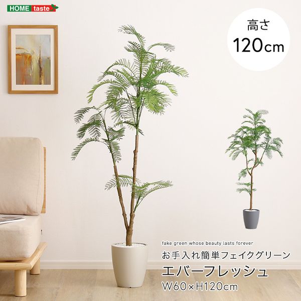 お手入れ簡単フェイクグリーン　エバーフレッシュ　Sサイズ(120cm)[03]｜家具・インテリア雑貨　カグール 9,877円