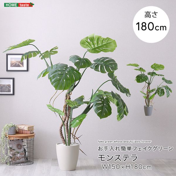 お手入れ簡単フェイクグリーン　モンステラ　Lサイズ(180cm)[03]｜家具・インテリア雑貨　カグール