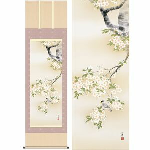 桜花に小鳥／おうかにことり　幅54.5×高さ約190cm　近藤玄洋／こんどうげんよう　季節飾り　花鳥画　春掛け 掛け軸 掛軸 [20]