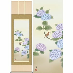 紫陽花／あじさい　幅54.5×高さ約190cm　清水玄澄／しみずげんすい　季節飾り　花鳥画　夏掛け 掛け軸 掛軸 [20]