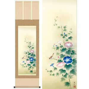 朝顔／あさがお　幅44.5×高さ約164cm　高見蘭石／たかみらんせき　季節飾り　花鳥画　夏掛け 掛け軸 掛軸 [20]