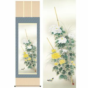 菊花／きくか　幅54.5×高さ約190cm　田村竹世／たむらちくよ　季節飾り　花鳥画　秋掛け 掛け軸 掛軸 [20]