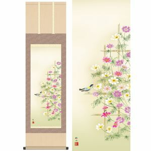 秋桜／こすもす　幅44.5×高さ約164cm　浮田秋水／うきたしゅうすい　季節飾り　花鳥画　秋掛け 掛け軸 掛軸 [20]