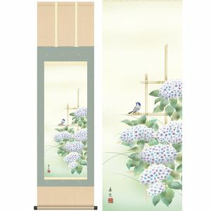 紫陽花／あじさい　幅44.5×高さ約164cm　西尾香悦／にしおこうえつ　季節飾り　花鳥画　夏掛け 掛け軸 掛軸 [20]