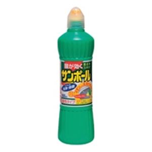 （まとめ）大日本除蟲菊 サンポール ノズル付 500ml【×30セット】 [21]