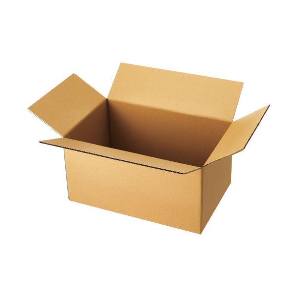 (まとめ）TANOSEE 軽量タイプ宅配用段ボール120-B3 1パック（10枚）【×10セット】[21]