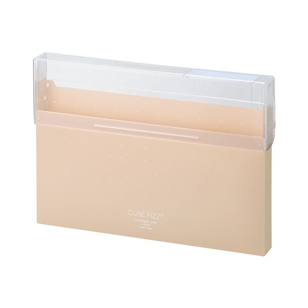 (まとめ）リヒトラブ CUBE FIZZコングレスケース A4 ベージュ A-6024-16 1個【×30セット】[21]