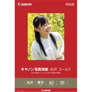 （まとめ）キヤノン Canon 写真紙 光沢ゴールド GL-101A320 A3 20枚【×2セット】 [21]