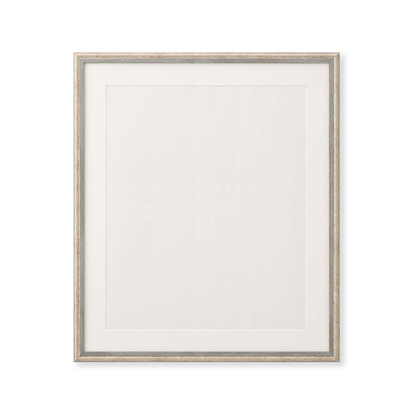 超軽量 水彩額 366P水彩額 F10 〔 530×455ｍｍ 〕グレー/ライトブルー 絵画 額 額縁 フレーム[21]