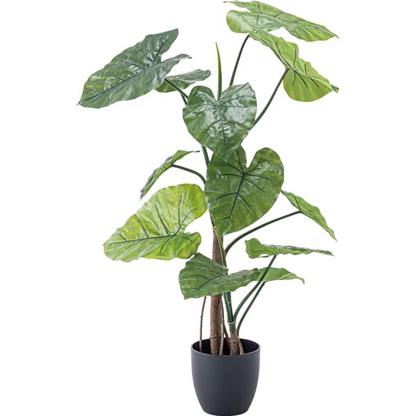 フェイクグリーン 観葉植物 クワイズモ 約幅57×奥行57×高さ117cm リビング 店舗 ショップ インテリア雑貨[21]
