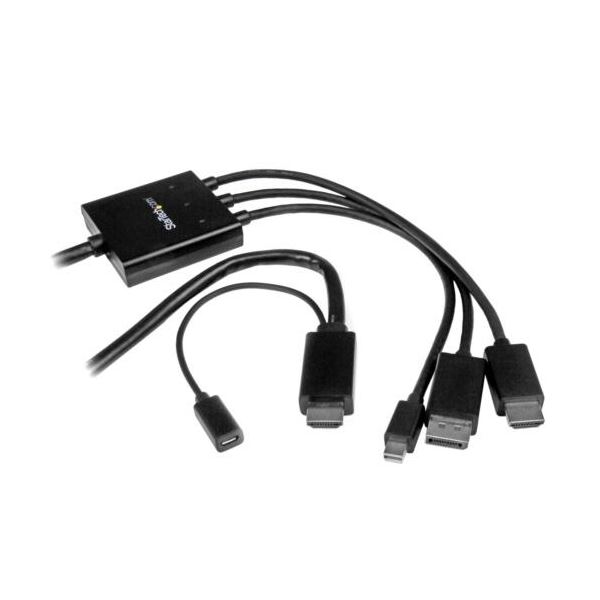 StarTech.com HDMI／DisplayPort／Mini DisplayPort-HDMI変換ケーブル 2m ブラックDPMDPHD2HD 1本[21]