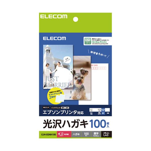 【5セット】 エレコム ハガキ用紙 光沢 厚手 エプソン用 100枚 EJH-EGNH100X5 [21]