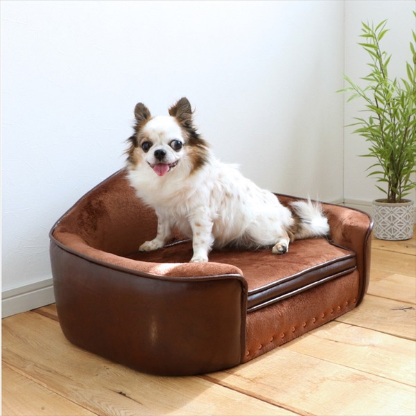 ペット用 ベッド ソファ 犬用 猫用 PEPE ペペ BR ブラウン 組立品 ペット用品【代引不可】 [21] 11,484円