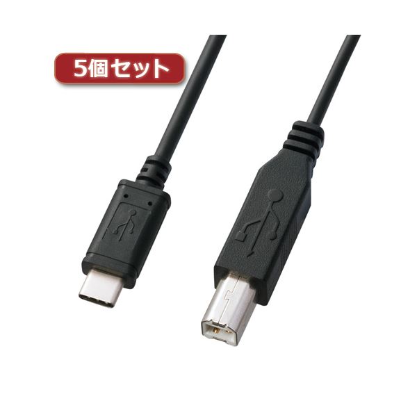 5個書き割り サンワサプライ USB2.0TypeC-B有線テレビ KU-CB10X5[21]