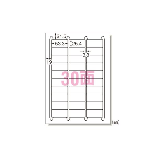 （まとめ） エーワン ラベルシール〈プリンタ兼用〉キレイにはがせるタイプ（再剥離） マット紙（A4判） 100枚入 31260 【×2セット】[21]