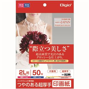 （まとめ） Digio2 インクジェット印刷人質問用紙 印画紙印字機 2L／50枚 JPSK2-2L-50【×5書き割り】[21]