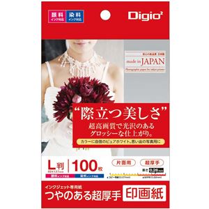 （まとめ） Digio2 インクジェット印刷人質問用紙 印画紙手合い L／100枚 JPSK2-L-100【×5書き割り】[21]