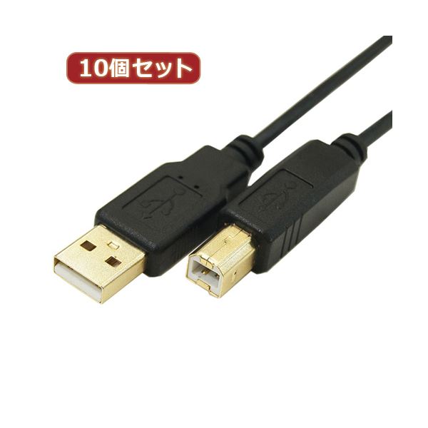 変換名人 10個セット 極細USBケーブルAオス-Bオス 1m USB2A-B／CA100X10[21]