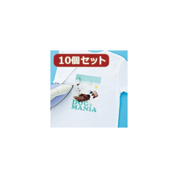 10個書き割りインクジェット洗い濯ぎに揺るぎない鉄刷り上げる紙（白布用） JP-TPRTYNA6X10[21]