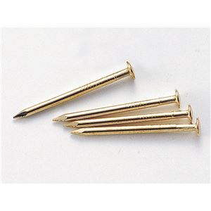 (まとめ)アーテック しんちゅうメッキ釘 25粍 100本 【×30仕掛ける】 [21]
