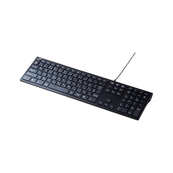 サンワサプライ USBスリムキーボード SKB-SL33BK[21]